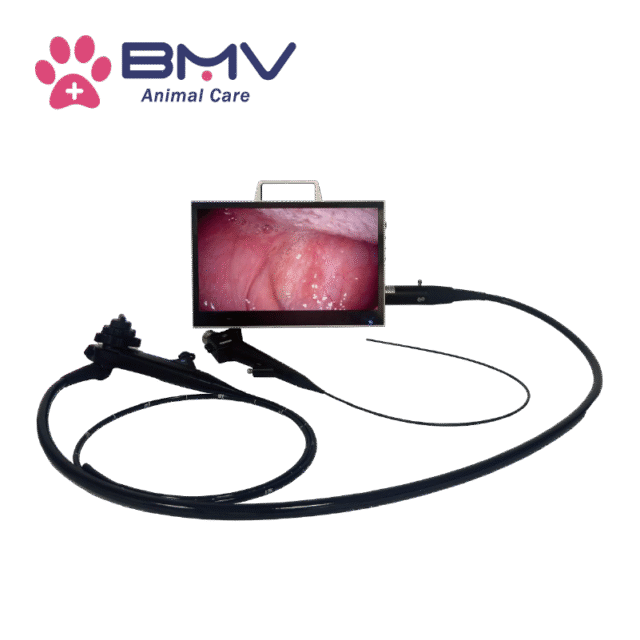 AniViz™ BVI-16 Portable Veterinary Endoscopy System For Large & Small Animals Solutions