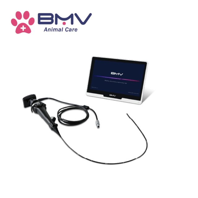 AniViz™ BVI-11 Portable USB Veterinary Endoscope System For Large & Small Animals(Gastroscope&Bronschoscope)