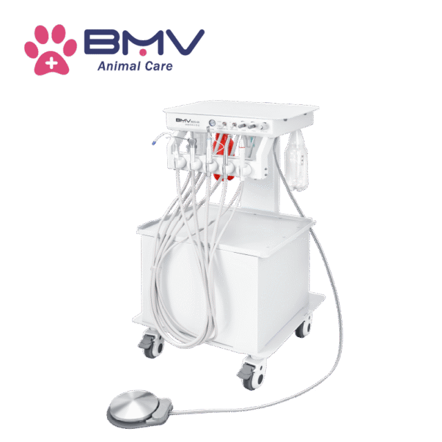 BDS-6 Vet Veterinary Dentistry Solutions