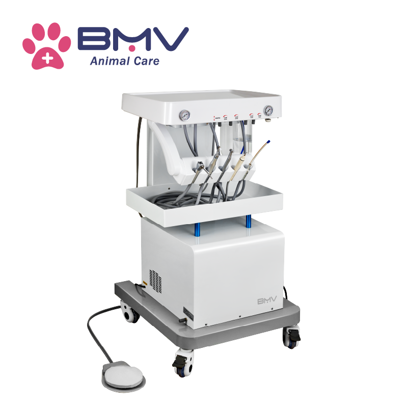 BCY102 Veterinary Dentistry Solutions