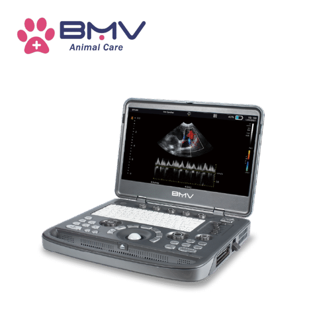BPU80 Cardiac Ultrasound