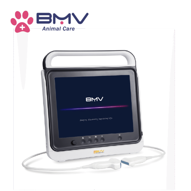 PT50A Portable ultrasound system