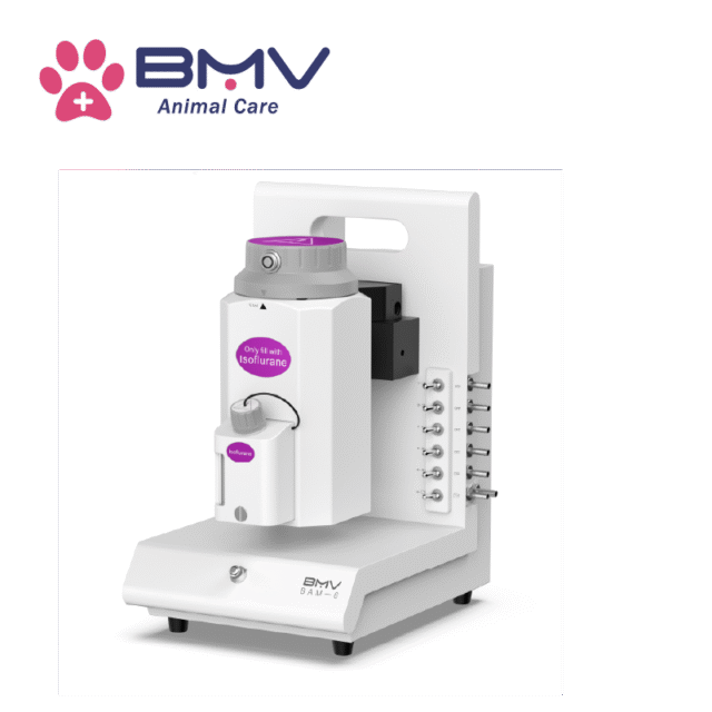 BAM-6 Vet Multi-channel Animal Research Multi-output Animal Anesthesia Machine（BMV Life Science/Small Animal/Inhalation Anesthesia）