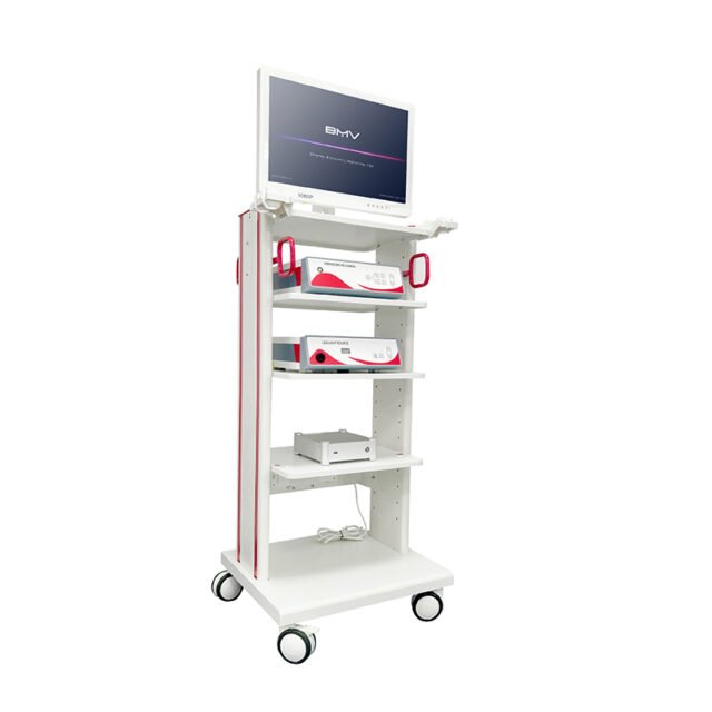 AniViz™ BVI-21 Series Veterinary Single-use Flexible Endoscope System For Large & Small Animals Solutions