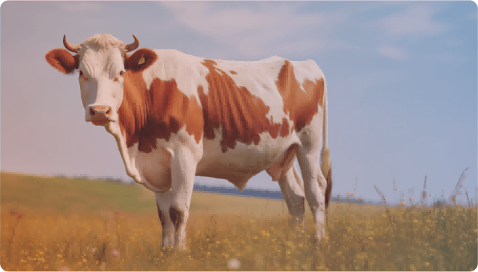 BMV SMART AGRI (5)